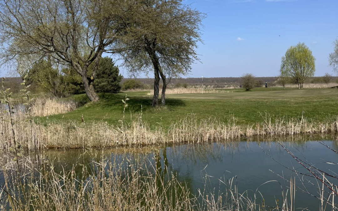 Jarní cena green fee